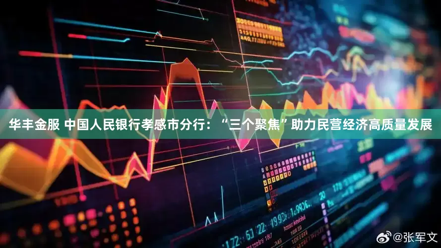 华丰金服 中国人民银行孝感市分行：“三个聚焦”助力民营经济高质量发展