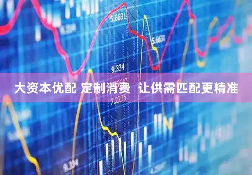 大资本优配 定制消费  让供需匹配更精准