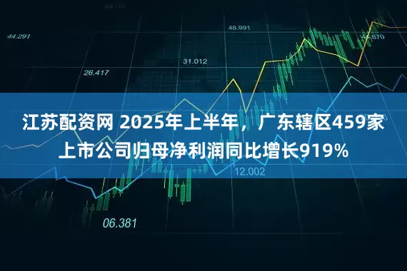 江苏配资网 2025年上半年，广东辖区459家上市公司归母净利润同比增长919%